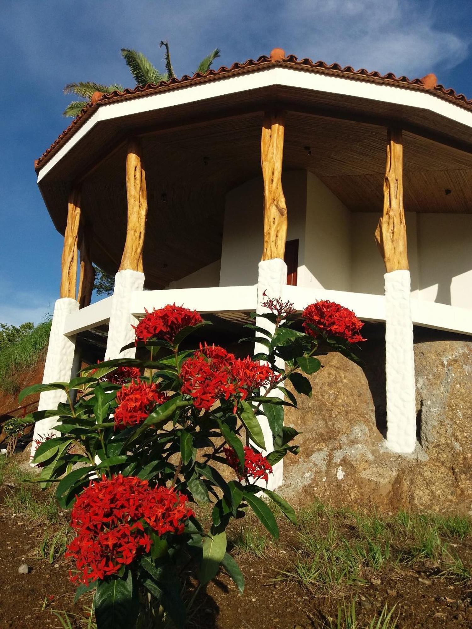 Hotel Peace & Lodge Samara Luaran gambar
