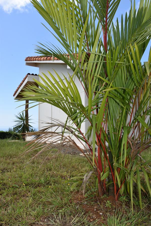 Hotel Peace & Lodge Samara Luaran gambar
